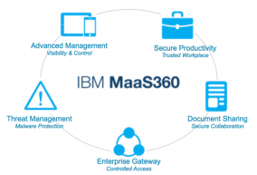 Maas 360