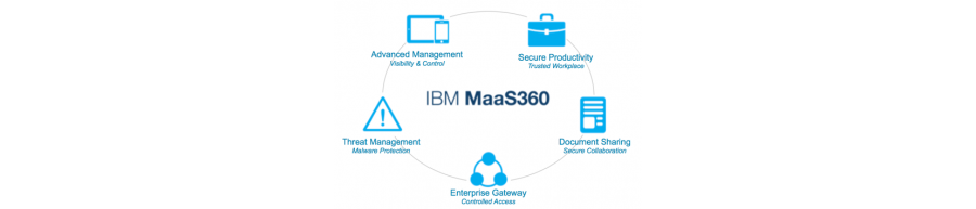 Maas 360